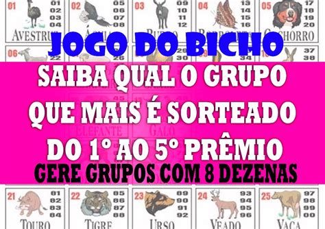 grupo do galo jogo bicho